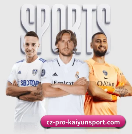 五大服务分区,信息按项目分类 - kaiyun